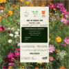 WILD FLOWERS - Image 2