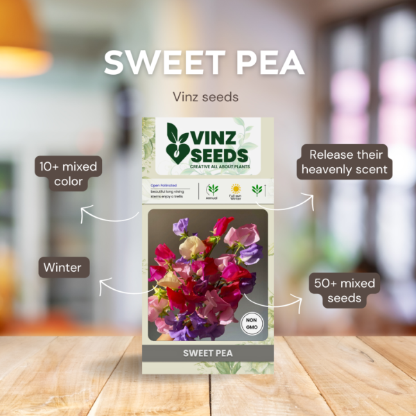 SWEET PEA MIXED