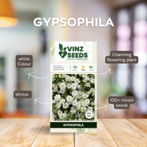 Gypsophila (Baby’s Breath)