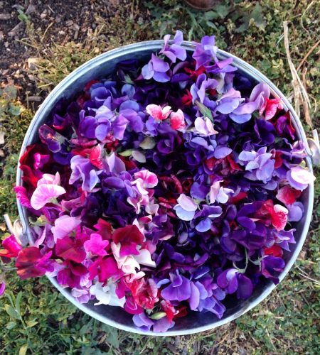 WhatsApp Image 2025-08-22 at 18.20.16 (3)