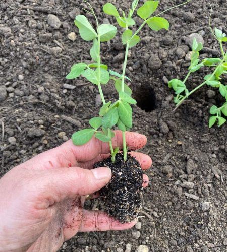 WhatsApp Image 2025-08-22 at 18.20.16 (4)