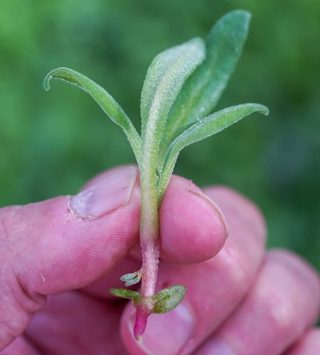 WhatsApp Image 2025-08-22 at 18.20.16 (5)