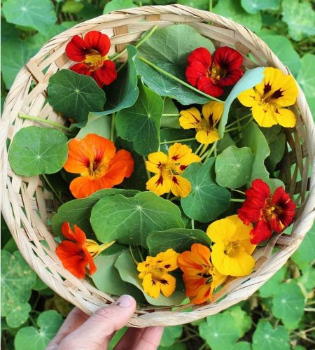 WhatsApp Image 2025-08-22 at 18.20.16 (6)