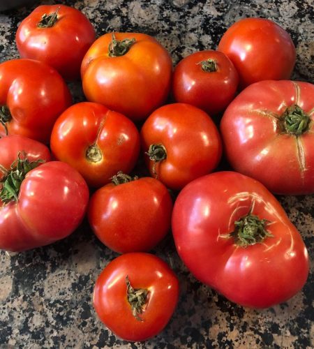 WhatsApp Image 2025-08-22 at 18.20.16 (7)